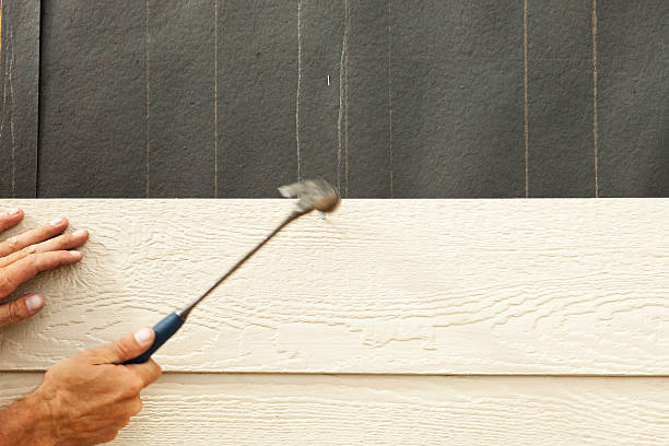 Best Historical Building Siding Restoration  in Follansbee, WV